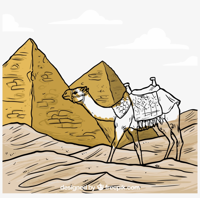 4323 X 3224 4 - Camello De Egipto, transparent png download