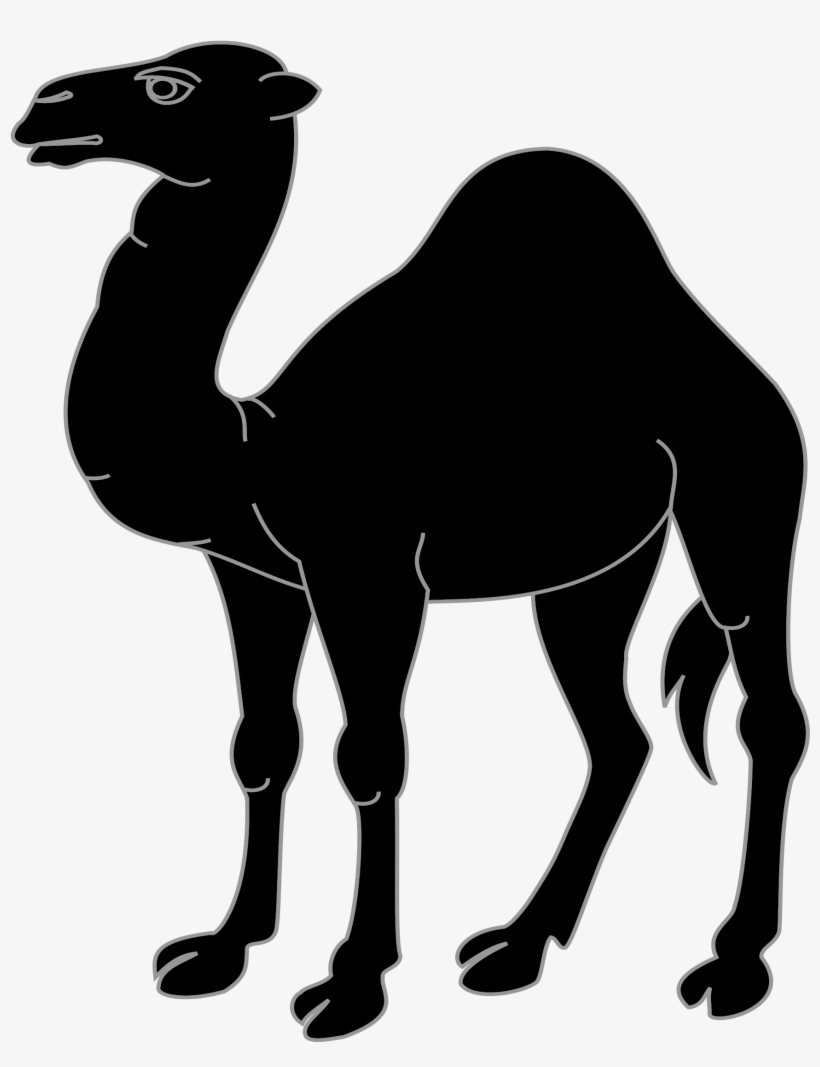 Open - Ombre De Dromadaire, transparent png download