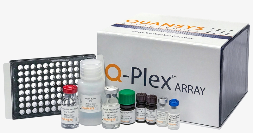 Kit Content - Glass Bottle, transparent png download