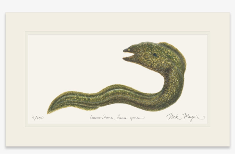 Sign Up And Get 10% Off - Serpent, transparent png download