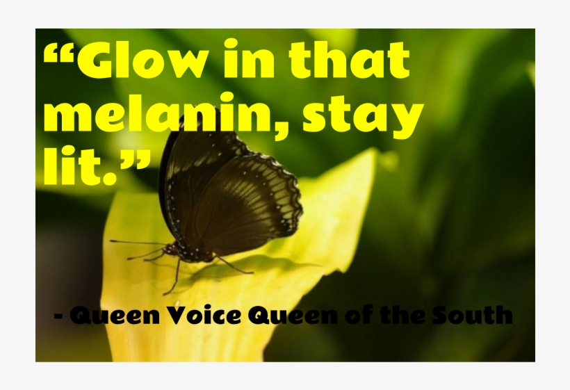 Post A Comment - Insect, transparent png download