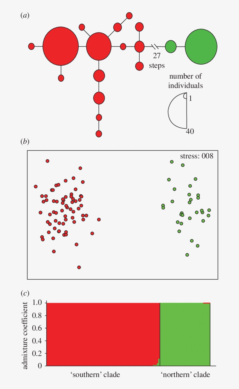 Download - Number, transparent png download