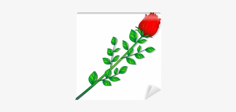 Rosa Rossa Fiore Chiuso Red Rose Vector Wall Mural - Euclidean Vector, transparent png download