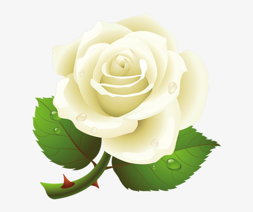 White Rose Clipart Vector - White Rose Bud Vector Png, transparent png download