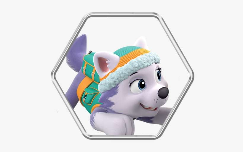 Everest - Paw Patrol Live Everest, transparent png download