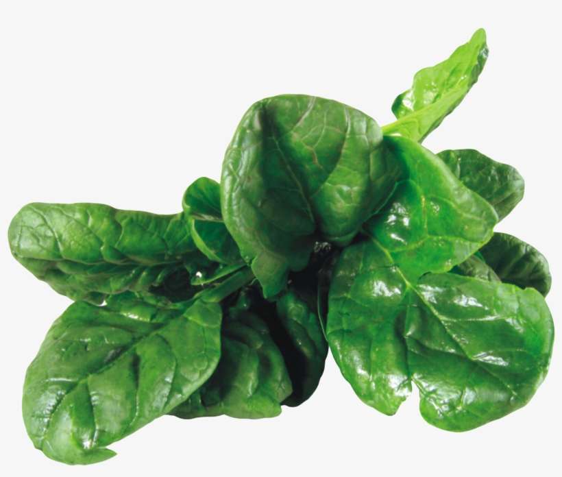 Spinach Png, transparent png download