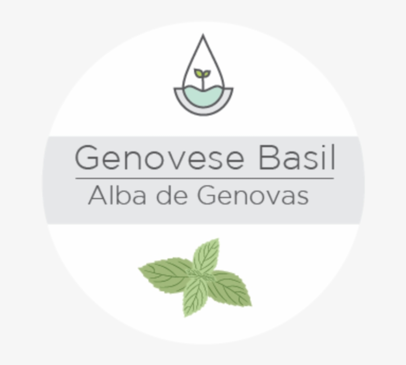 Genovese Basil - Newspaper, transparent png download