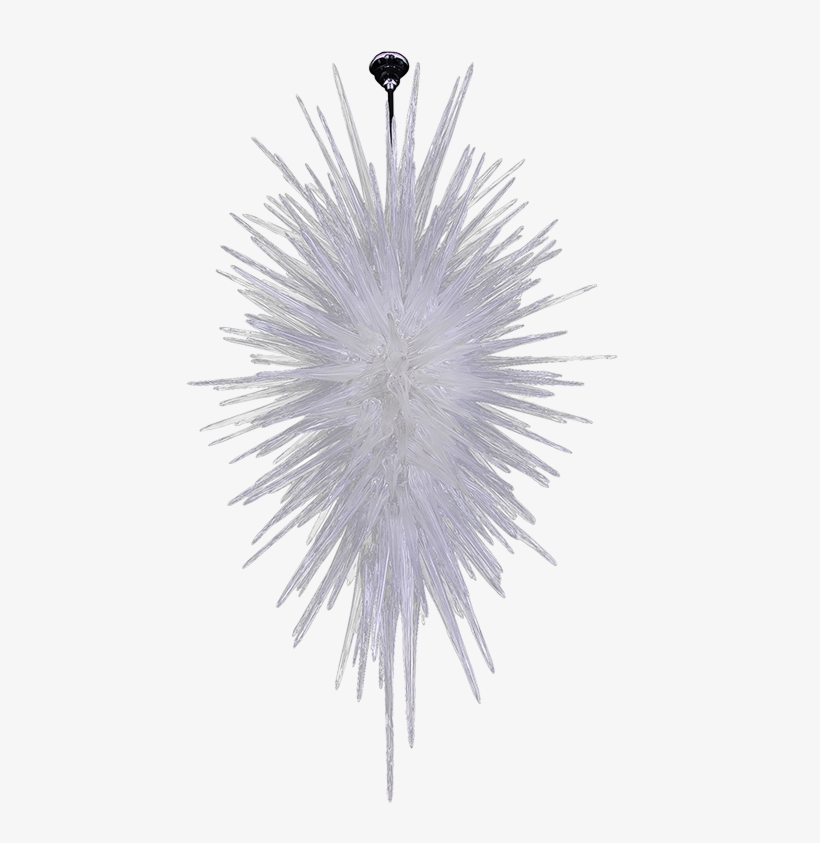 Christopher Guy, transparent png download