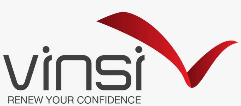 Western Union Money Transfer - Vinsi - Renew Your Confidence, transparent png download