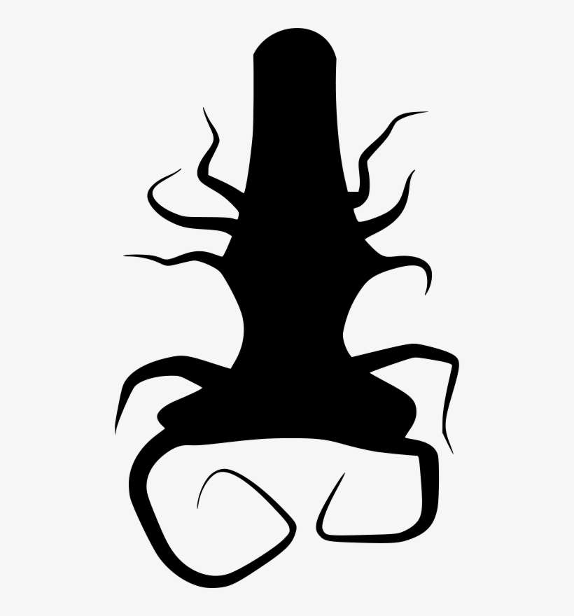 A Twisting Thing - Akar Pohon Vektor, transparent png download