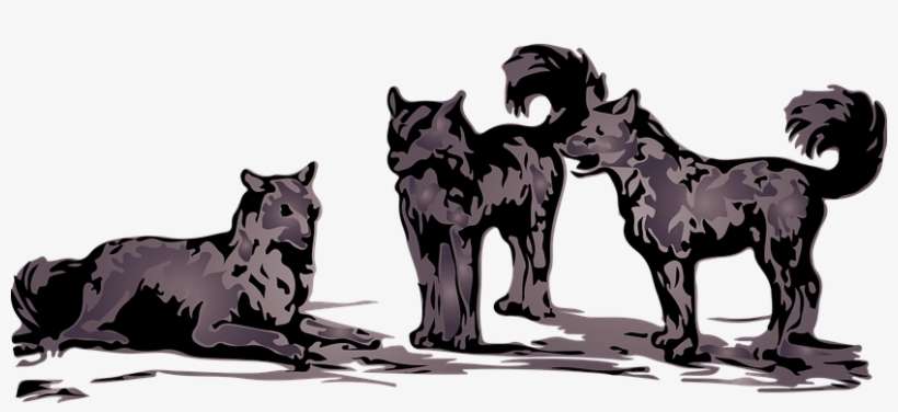 Wolves Gray Wolf Wildlife Animal Wild Natu - Wolf, transparent png download