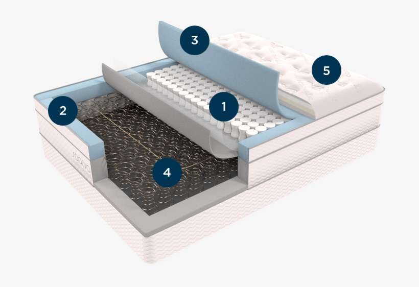 The Top 5 Features Of Luxury Mattresses In 1 Beautifully - Saatva Mattress, transparent png download