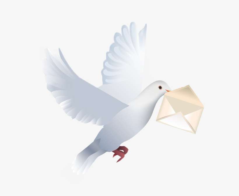 Birthday Wishes With Pigeon, transparent png download