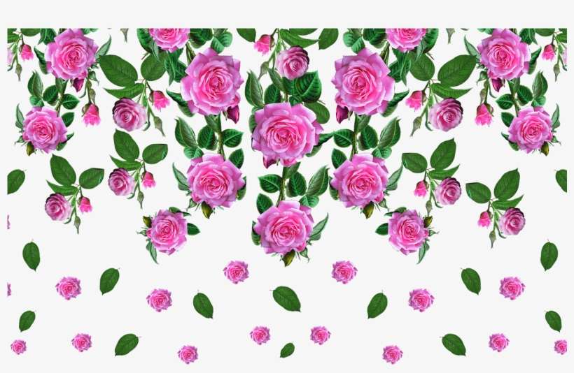 Vector,flower,vector Art,flower Vector,vector Flower - Floribunda, transparent png download