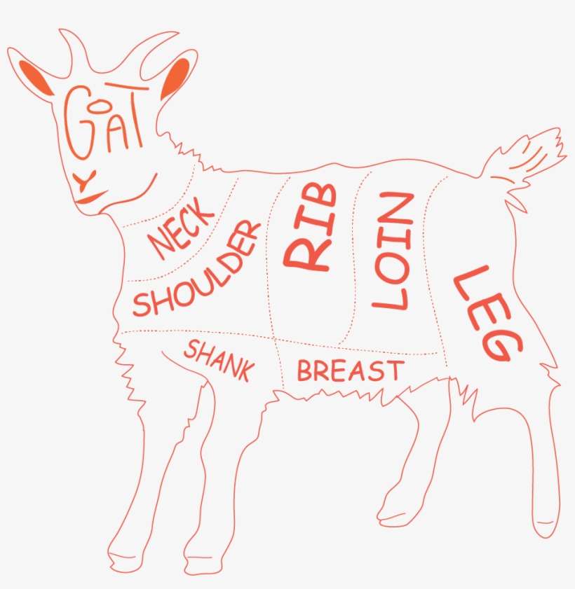 Goat Loin Roast/saddle - Calf, transparent png download
