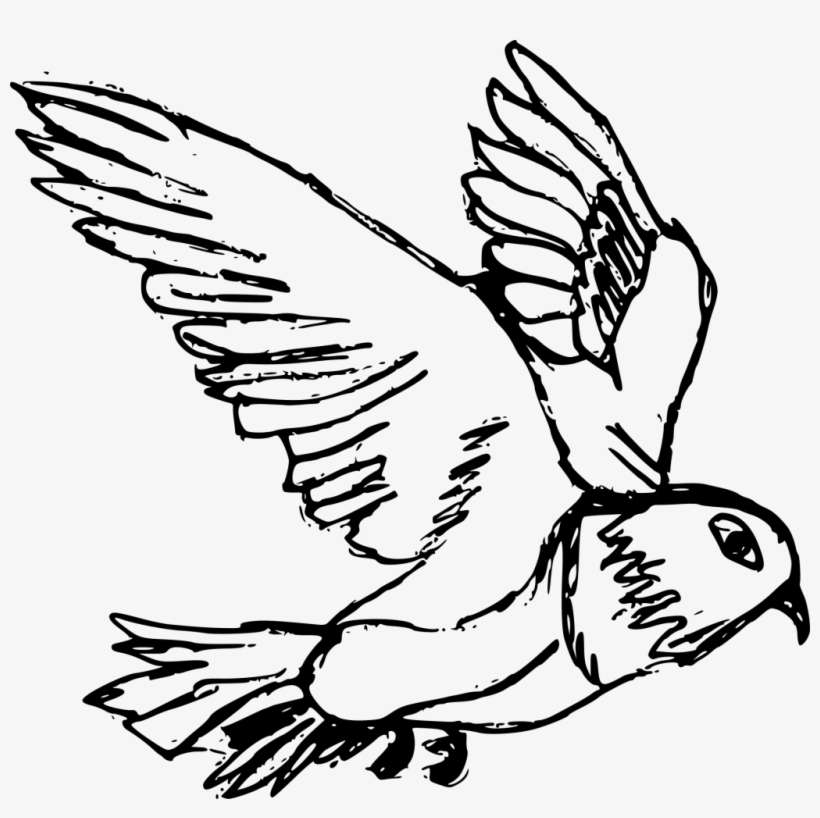 Png File Size - Pigeon Drawing, transparent png download