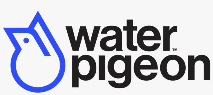 Water Pigeon Logo - Oval, transparent png download