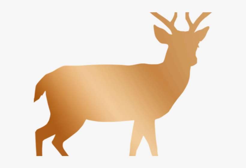 Whitetail Deer Png - Deer Silhouette No Background, transparent png download
