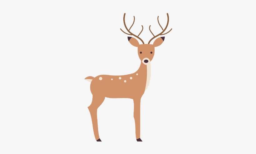 Deer Vector, transparent png download