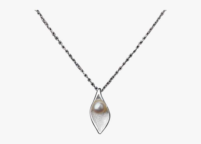 Luo Linglong S925 Silver Jewelry Pearl Tree Necklace - Necklace, transparent png download