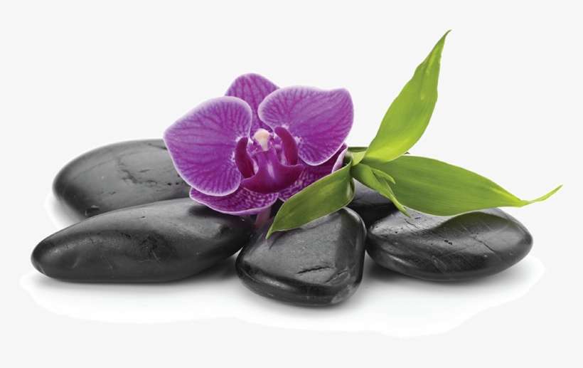 Go To Image - Beauty Salon, transparent png download