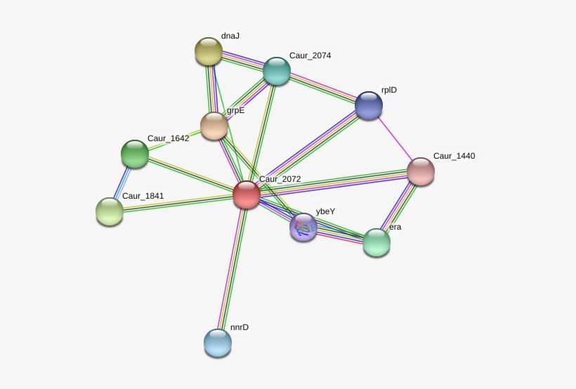 Caur 2072 Protein - Circle, transparent png download