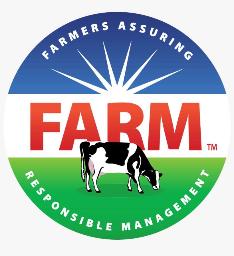 Dairy Cow, transparent png download