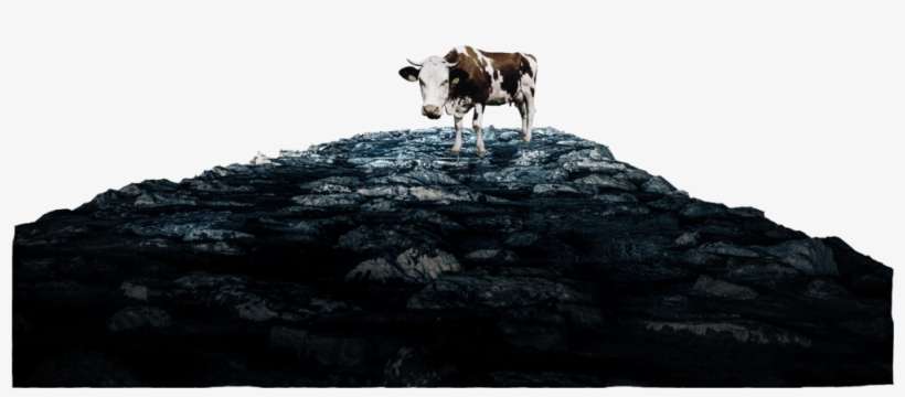 Heavens Cow Rocks Only - Dairy Cow, transparent png download
