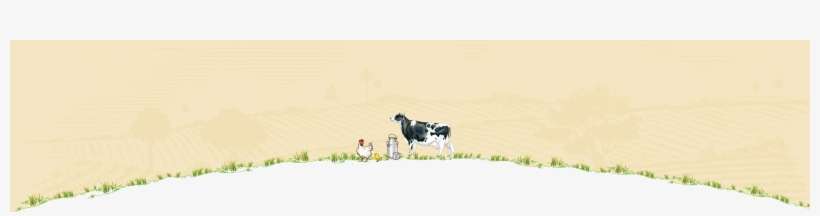 Dairy Cow, transparent png download