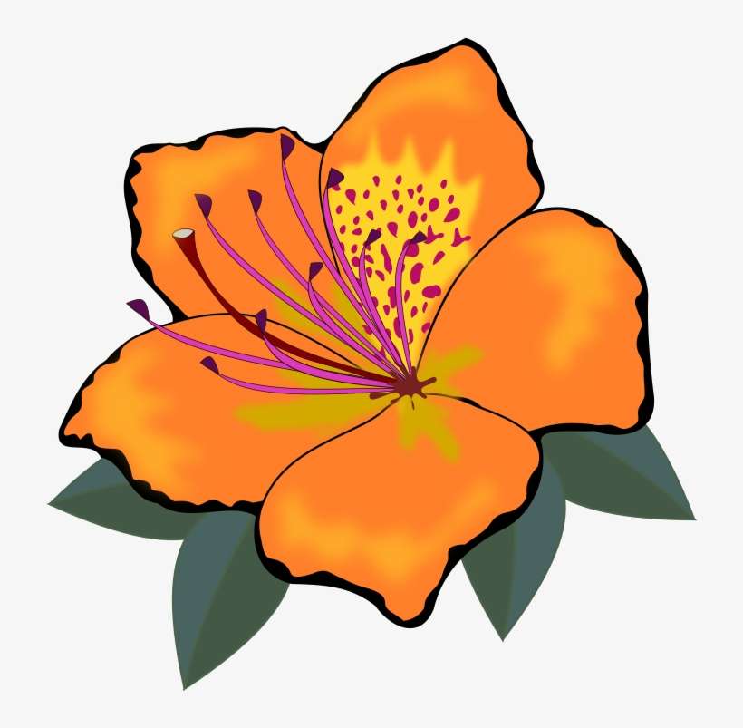 Orange Flower Clipart One Flower - Cross Stitch Flower Clipart, transparent png download