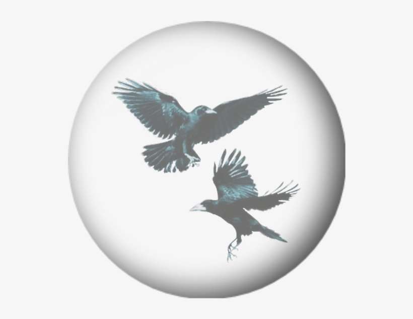 Brewer's Blackbird, transparent png download