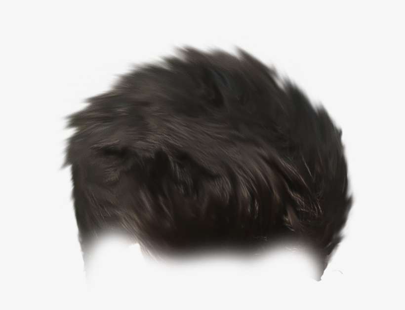 Stock Download From Below - Lace Wig, transparent png download