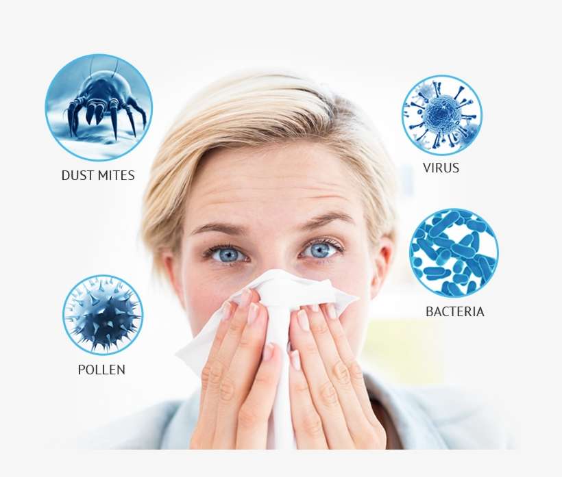 Dust - Cura Rinite Alérgica, transparent png download