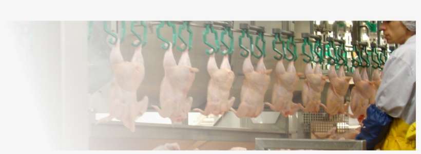 Eden Valley Poultry Inc - Chicken Meat, transparent png download