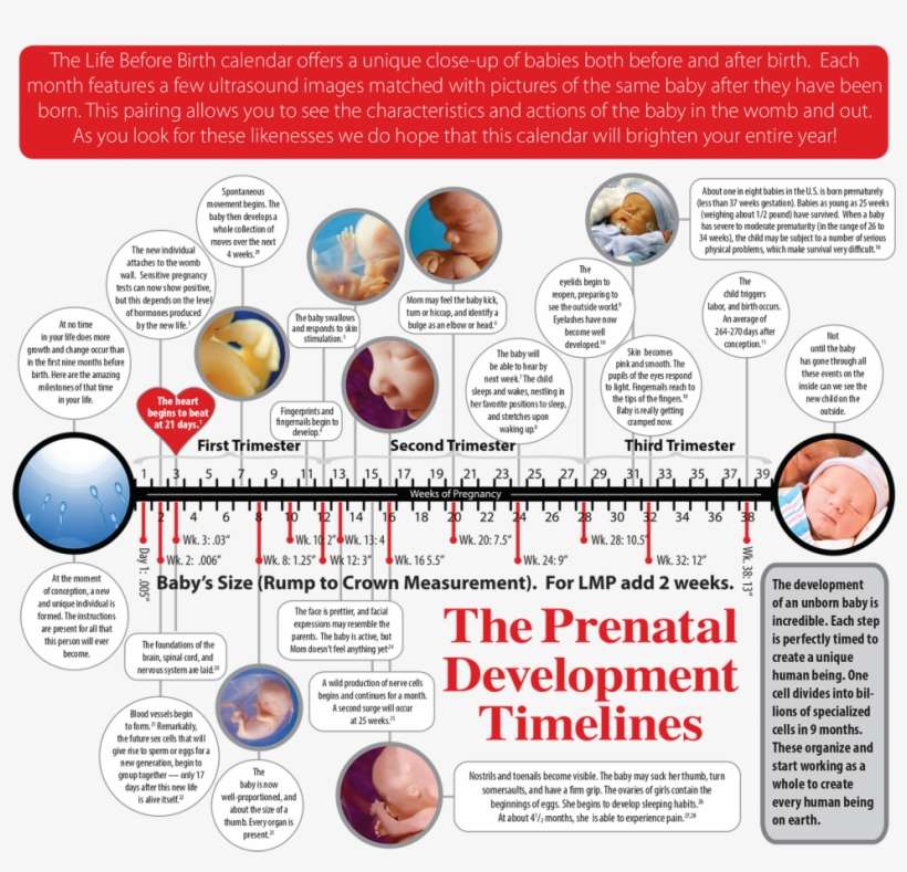 2018 Calendar - Dr Apj Abdul Kalam, transparent png download