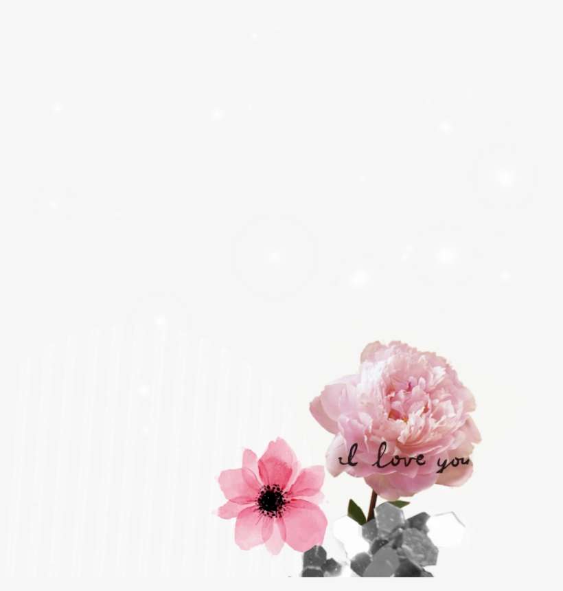 Rose Sticker - Flowering Dogwood, transparent png download