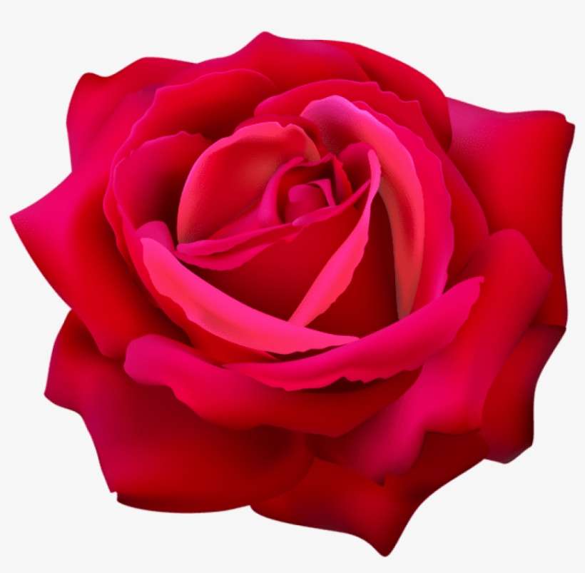 Png Mofohockey Wedding Background Flowers Pictures - Flower Png, transparent png download