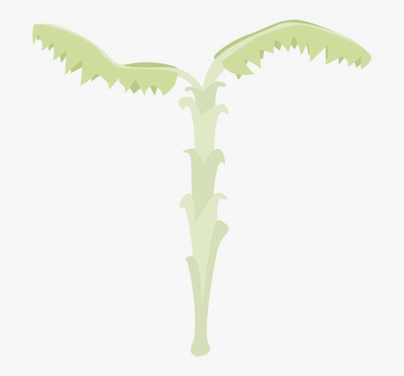 Tweets By @pinkhoof - Tree, transparent png download