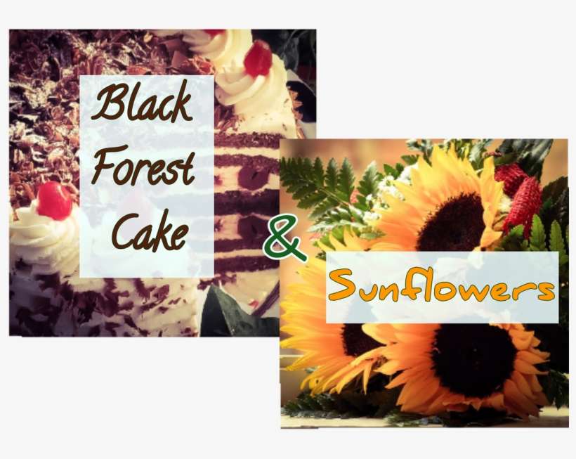 Sunflower, transparent png download