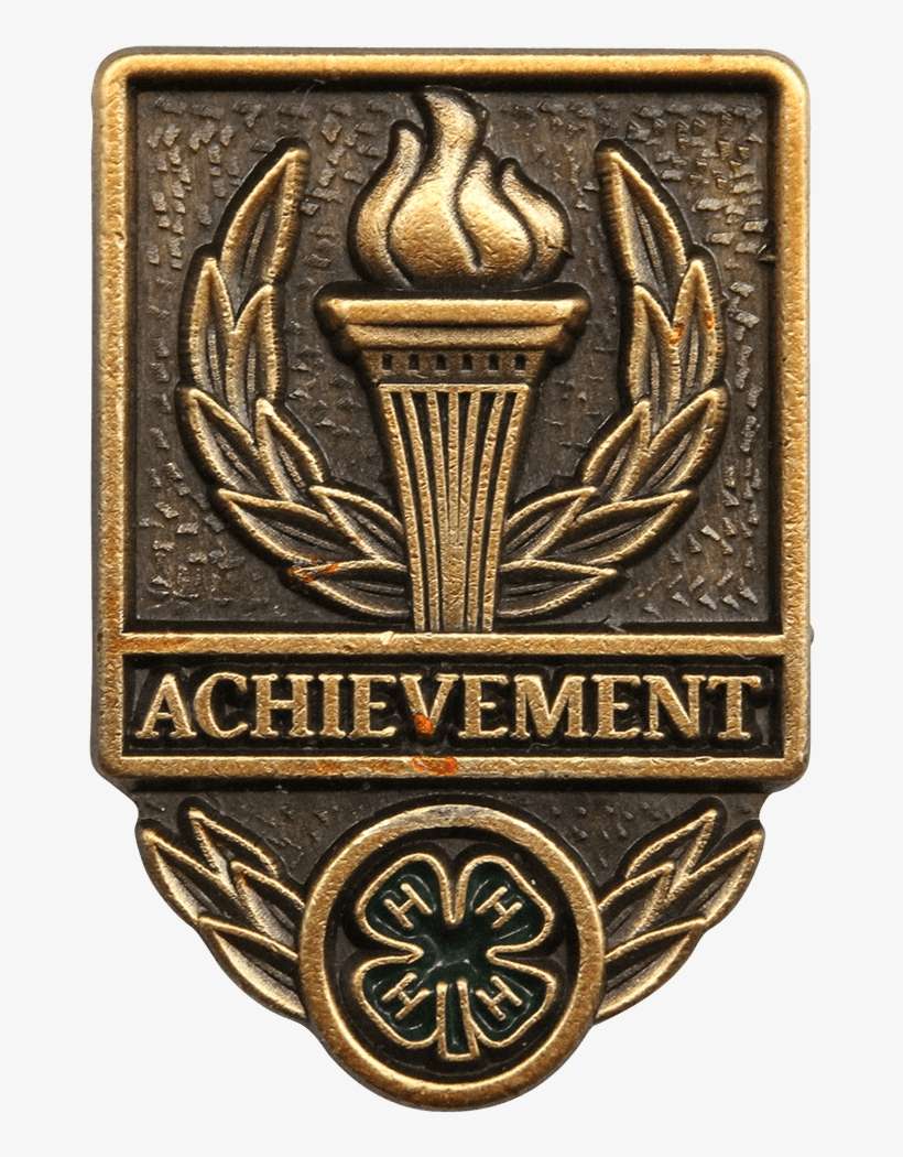 Achievement Pin - Badge, transparent png download