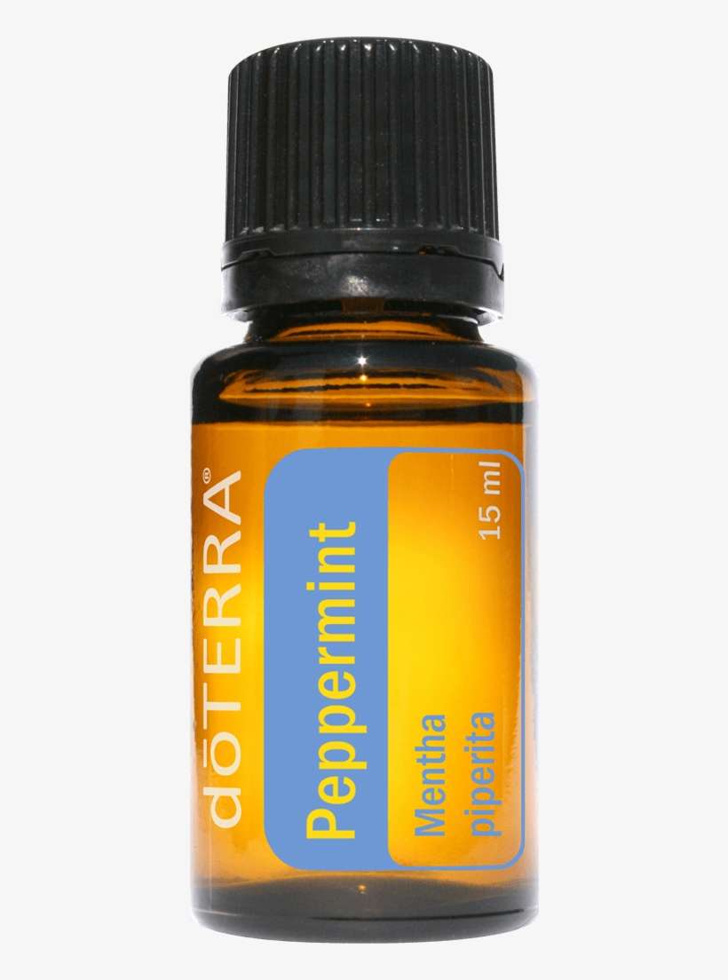 Menta Doterra Oil - Doterra Eucalyptus Essential Oil, transparent png download
