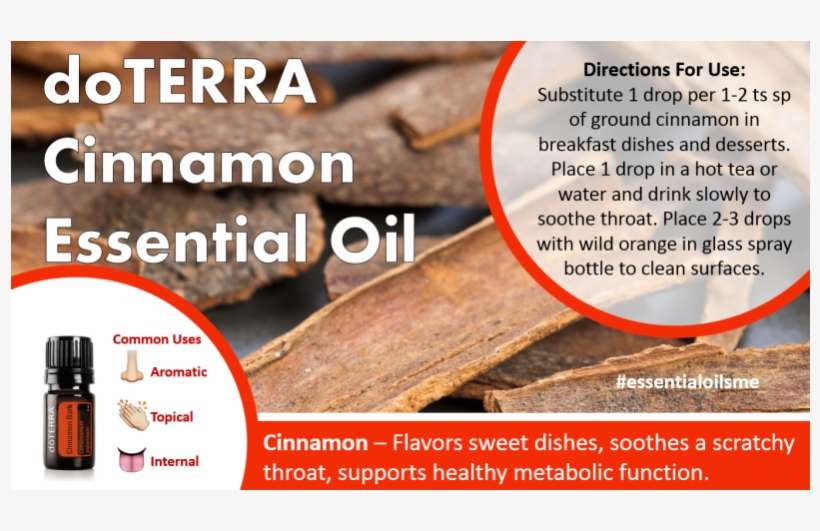 Bottle, transparent png download