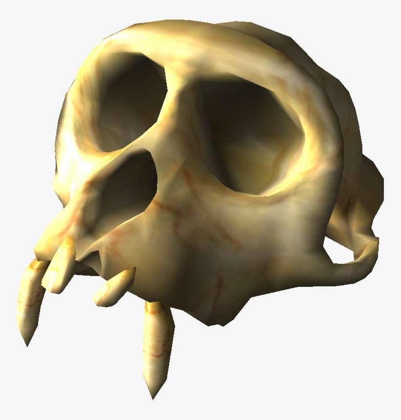 Skull, transparent png download