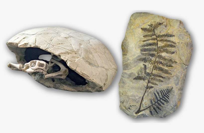 Crystal, transparent png download