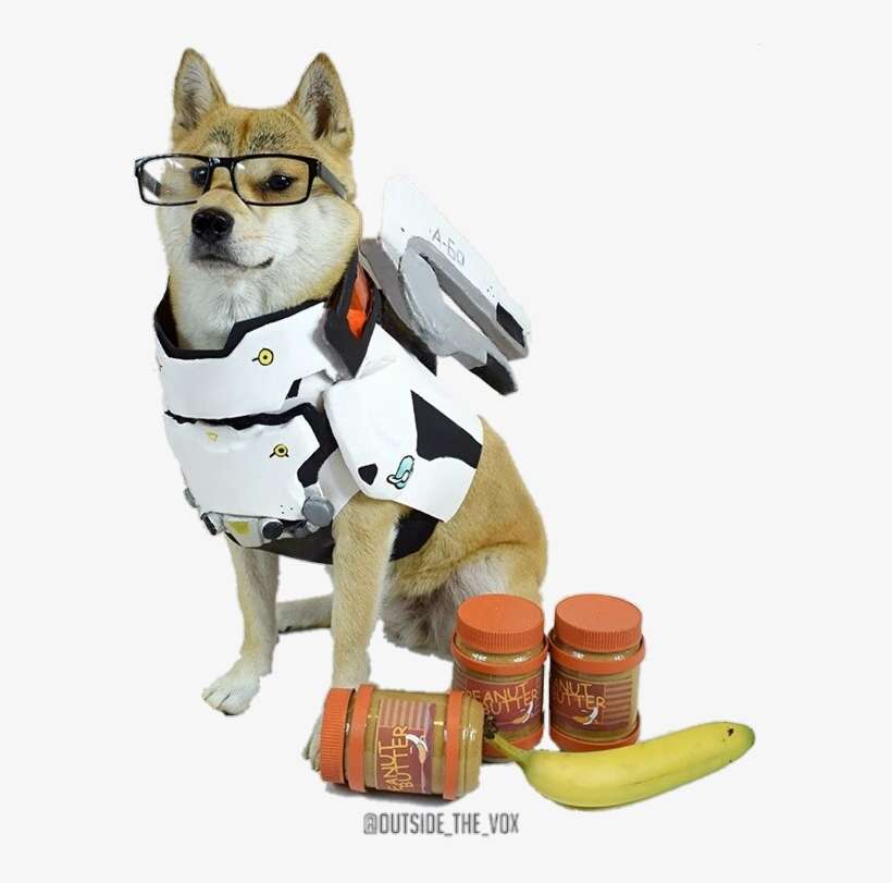 1524395482988 - Cosplaying Dogs, transparent png download
