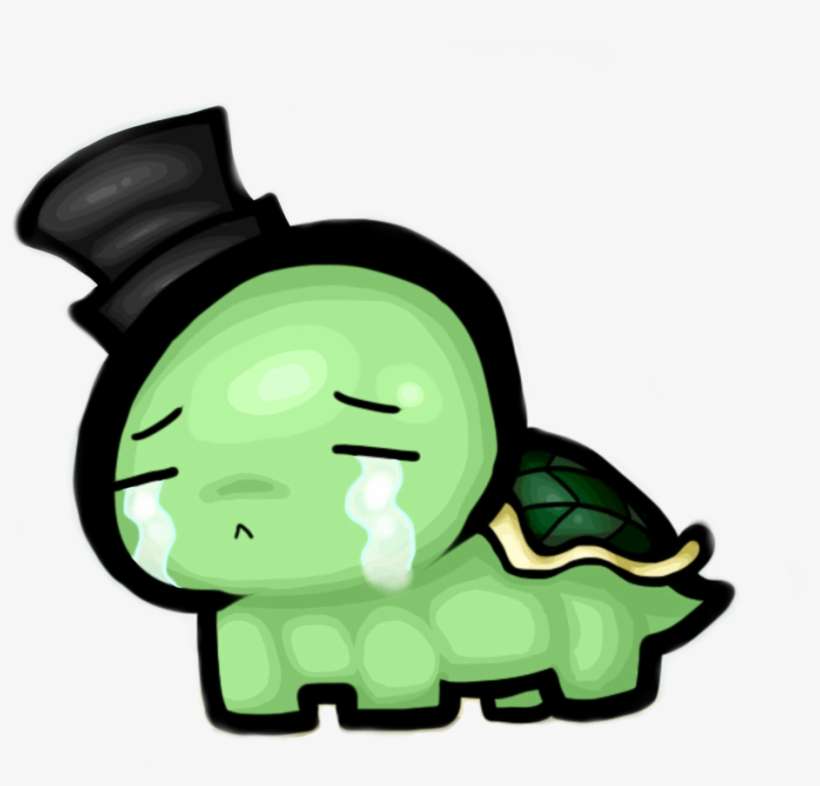 How To Draw A Cute Sea Turtle Download Sea Turtle Drawing Cute Png Image Transparent Png Free Download On Seekpng