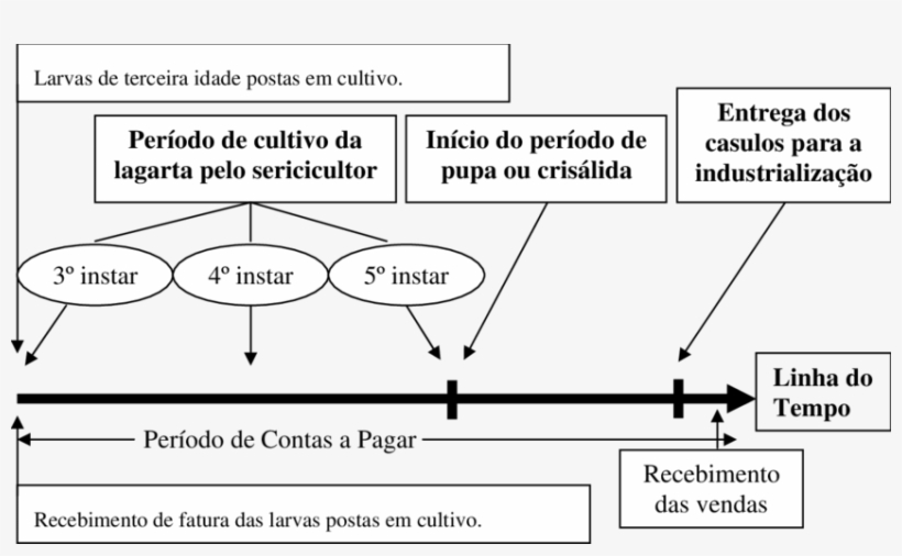Linha Do Tempo Que Representa O Ciclo Operacional Na - Diagram, transparent png download