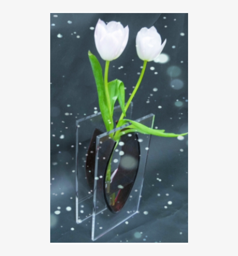 Fashion Decorative Modern Vases Transparent Glass Acrylic - Crocus, transparent png download