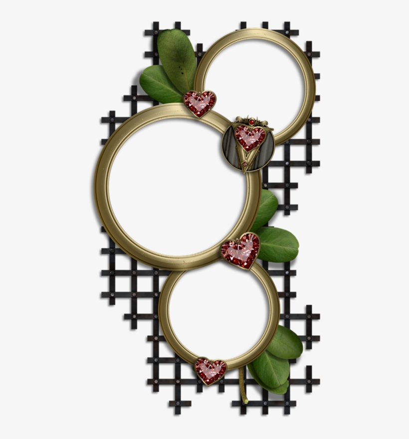 Tubed Frames Png's - Picture Frame, transparent png download