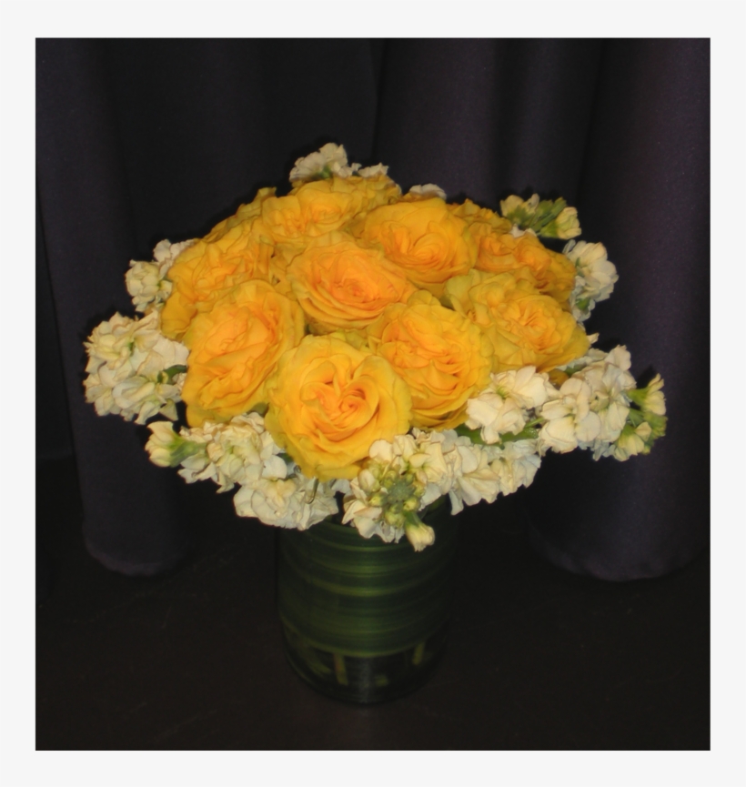 Garden Roses, transparent png download